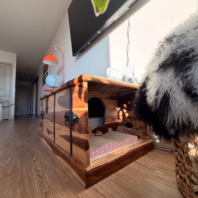 Litter Storage Conversion